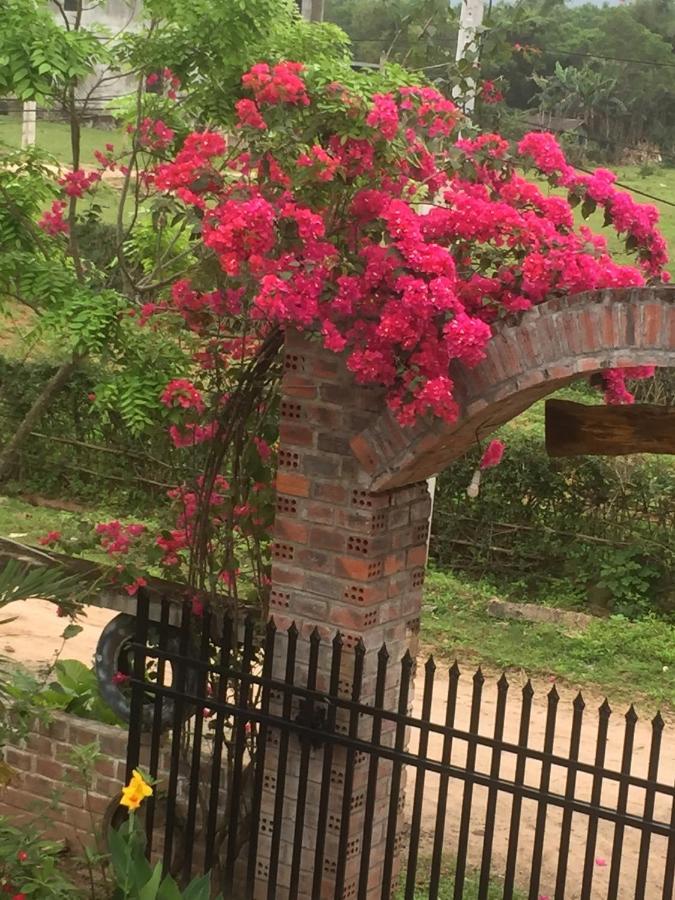 Sunshine Homestay Phong Nha Esterno foto